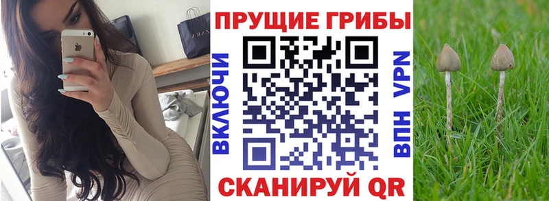 Псилоцибиновые грибы Magic Shrooms  Купить закладки  Лобня 